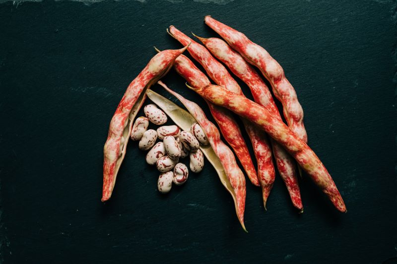 Fagioli borlotti