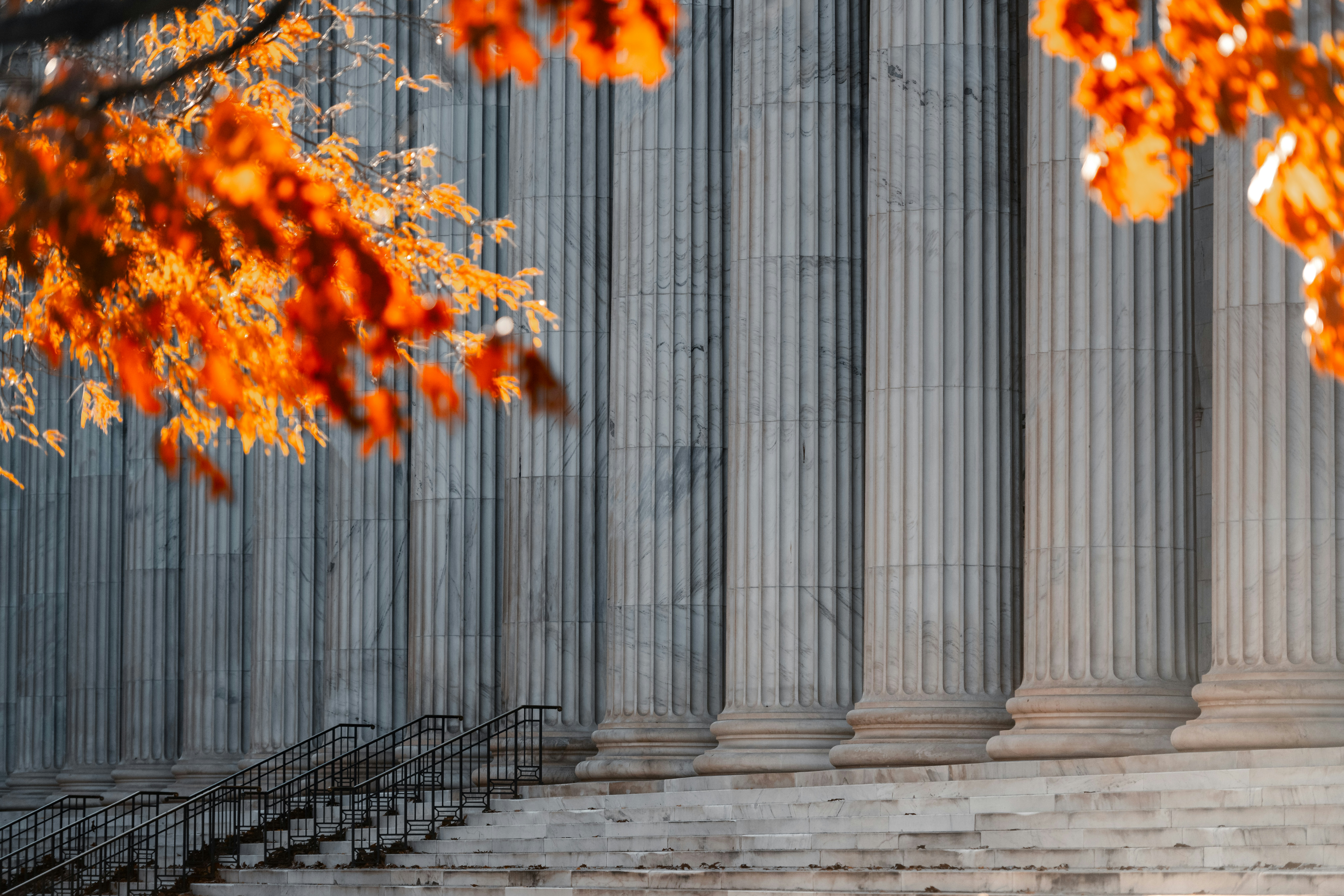 Close-up of orange leaves against a textured concrete wall, creating a contrast of nature and architecture.