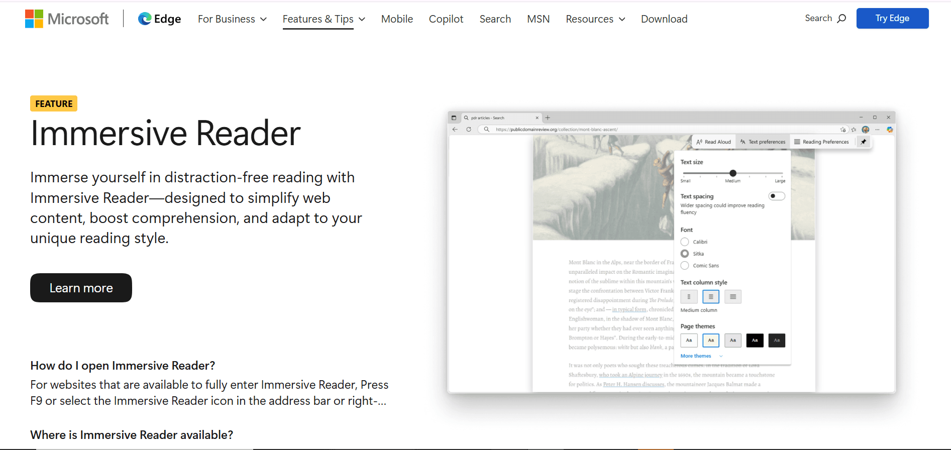 Miscrosoft Immersive Reader
