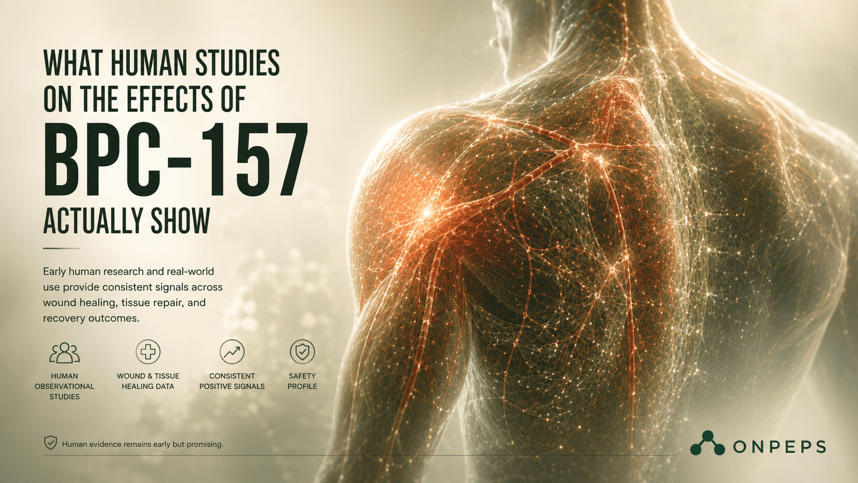 What Human Studies on the Effects of BPC-157 Actually Show