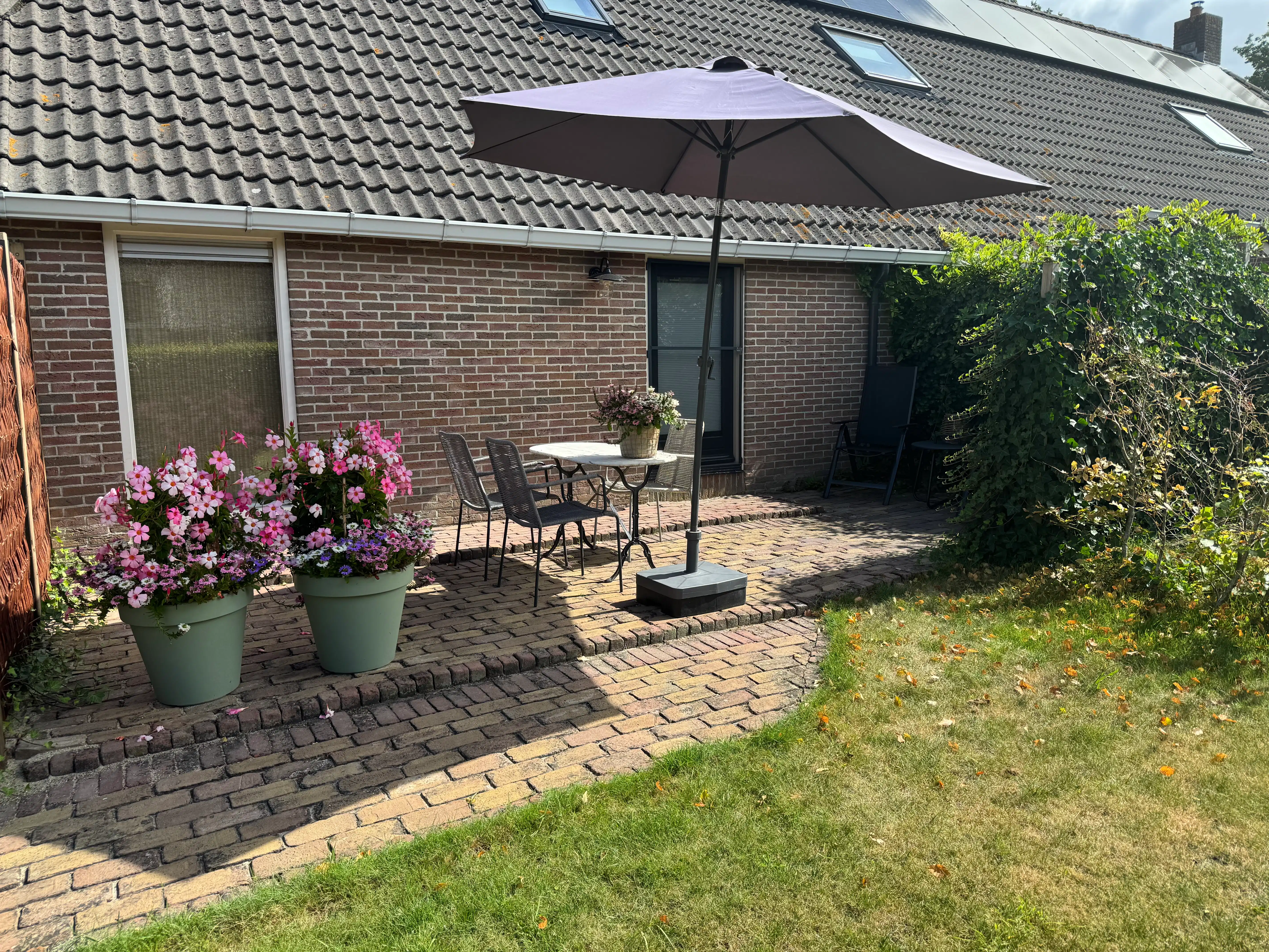 Privé terras met parasol, bloempotten en zitje in Dwingeloo