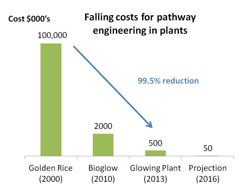 Image source: Glowing Plant.