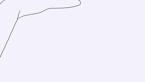 portrait photography