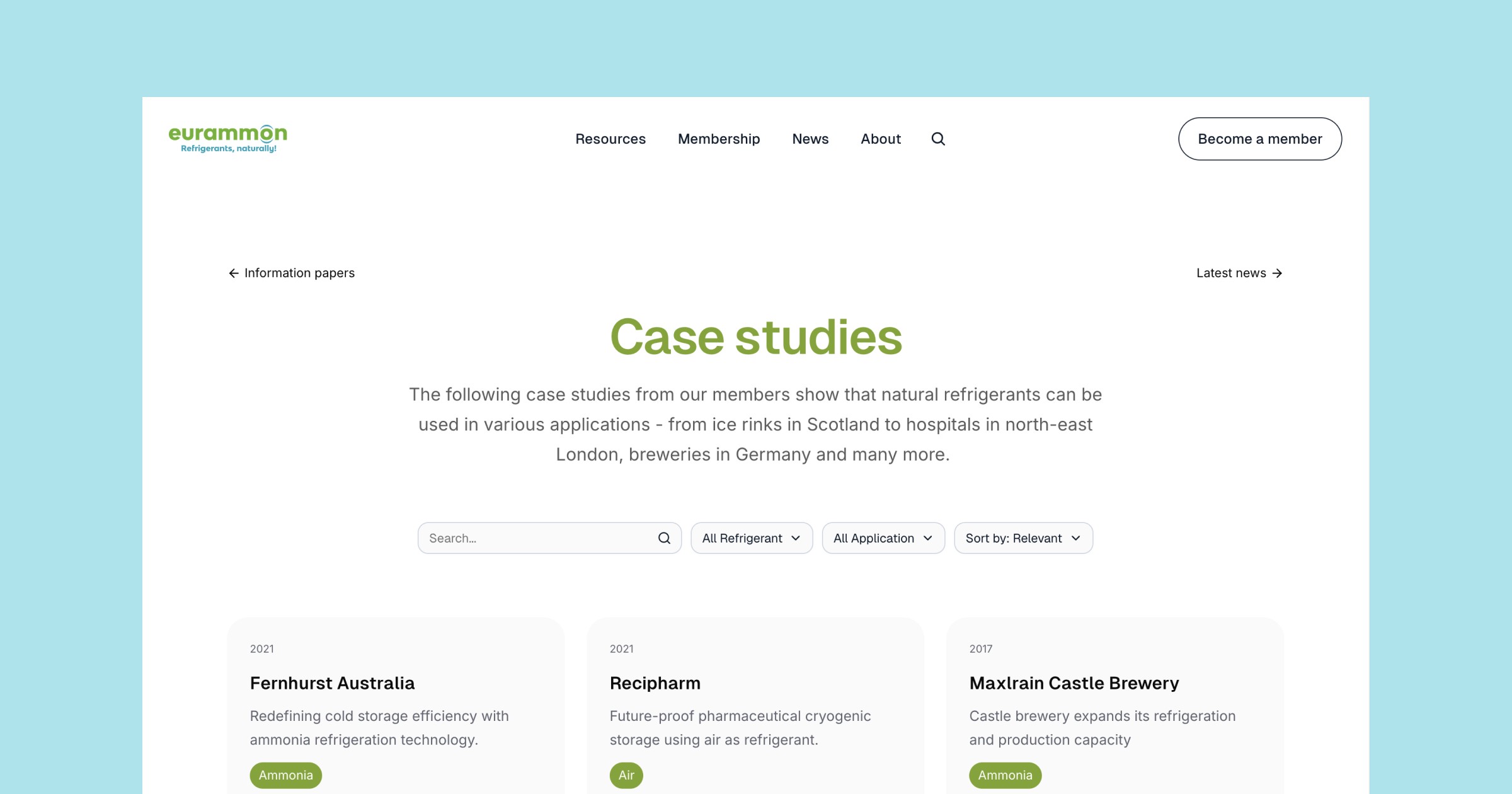 Eurammon website case studies