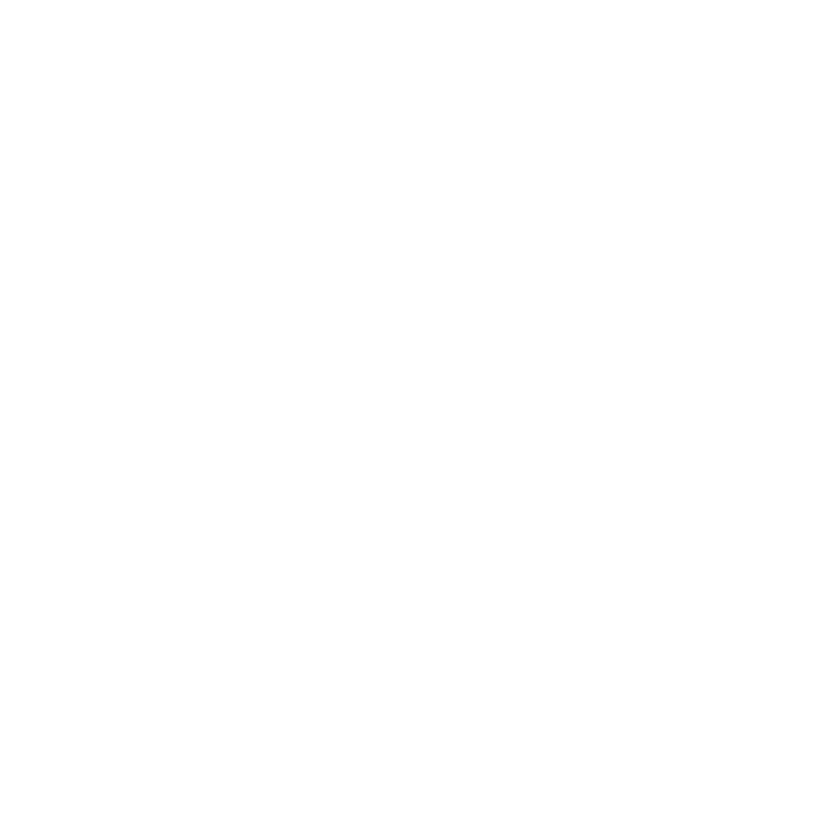 Social Icon