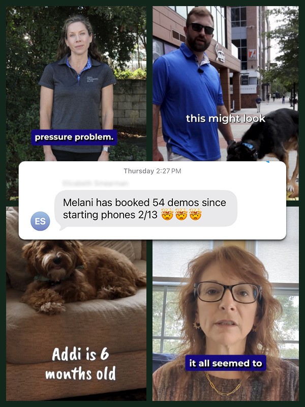 Close-up of a dark green leaf showing its textured surface and central vein against a muted background.
