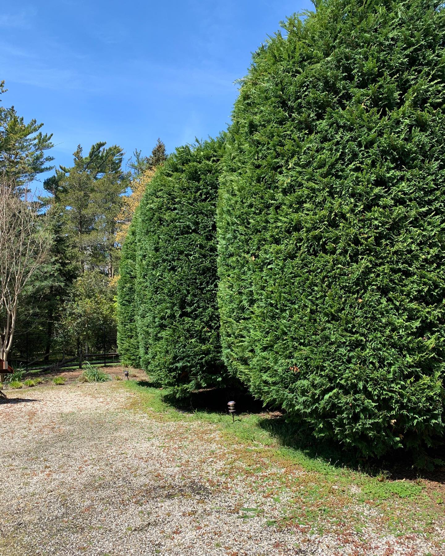 Private garden