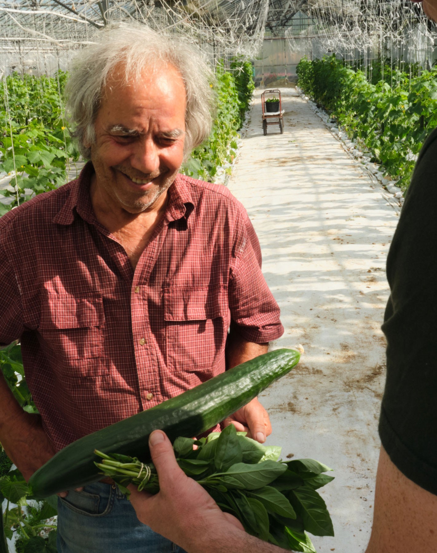 Chef's Farms – GEORGE COSBY STUDIO | Brand Worlds Built At Moments Of Change