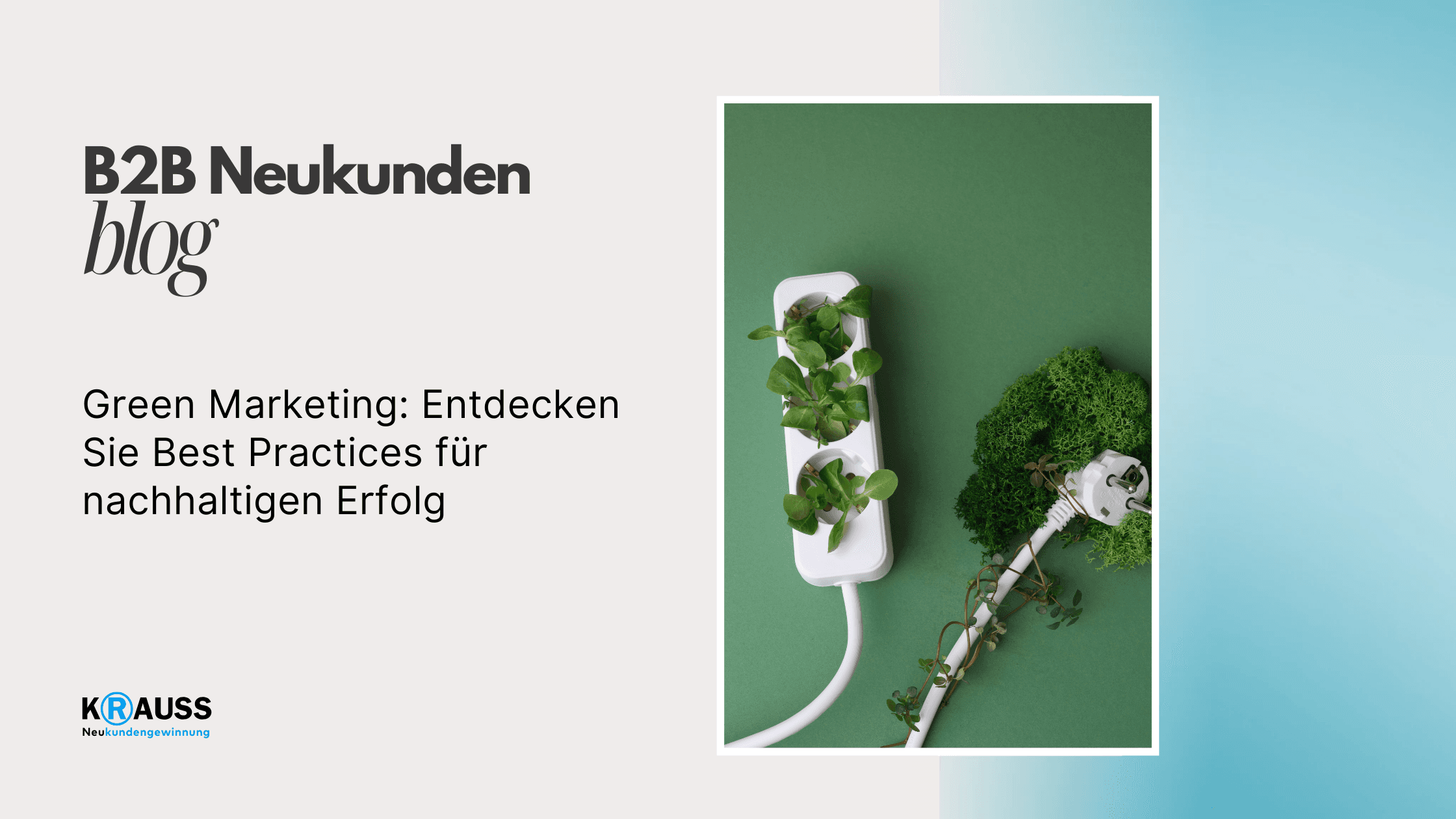 Green Marketing: Entdecken Sie Best Practices für nachhaltigen Erfolg