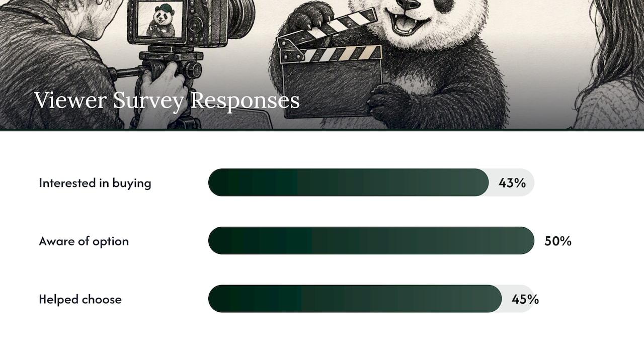 Why Brands Commission Brand Films: Objectives and Business Use Cases — overview diagram