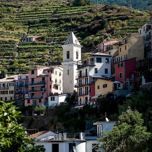 色彩缤纷的山坡村庄建筑群，中央矗立着一座钟楼，四周环绕着层层梯田式葡萄园和葱郁绿意。