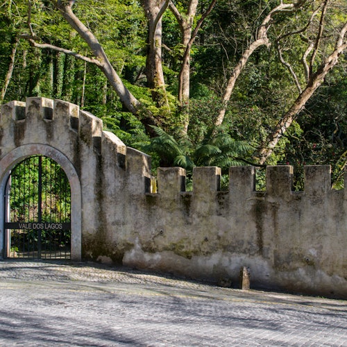 在郁郁葱葱的森林中,有一道标有“湖之谷”的拱形门,四周是高大的树木和茂盛的绿色植物。