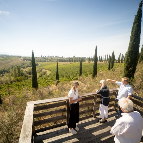 View during vineyard tour