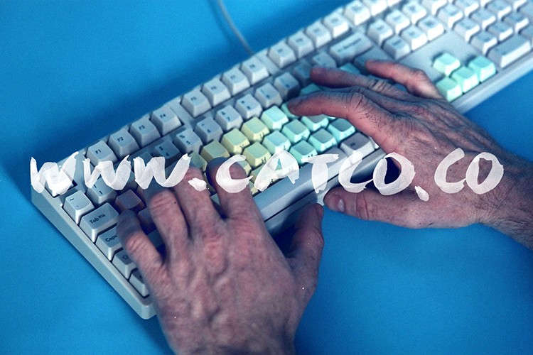 The image shows two hands typing on a white keyboard with light blue keys. The keyboard is positioned on a blue surface. The text "www.catfood.co" is superimposed over the image in a large, white, handwritten-style font. The hands appear to be adult skin with visible wrinkles and lines.