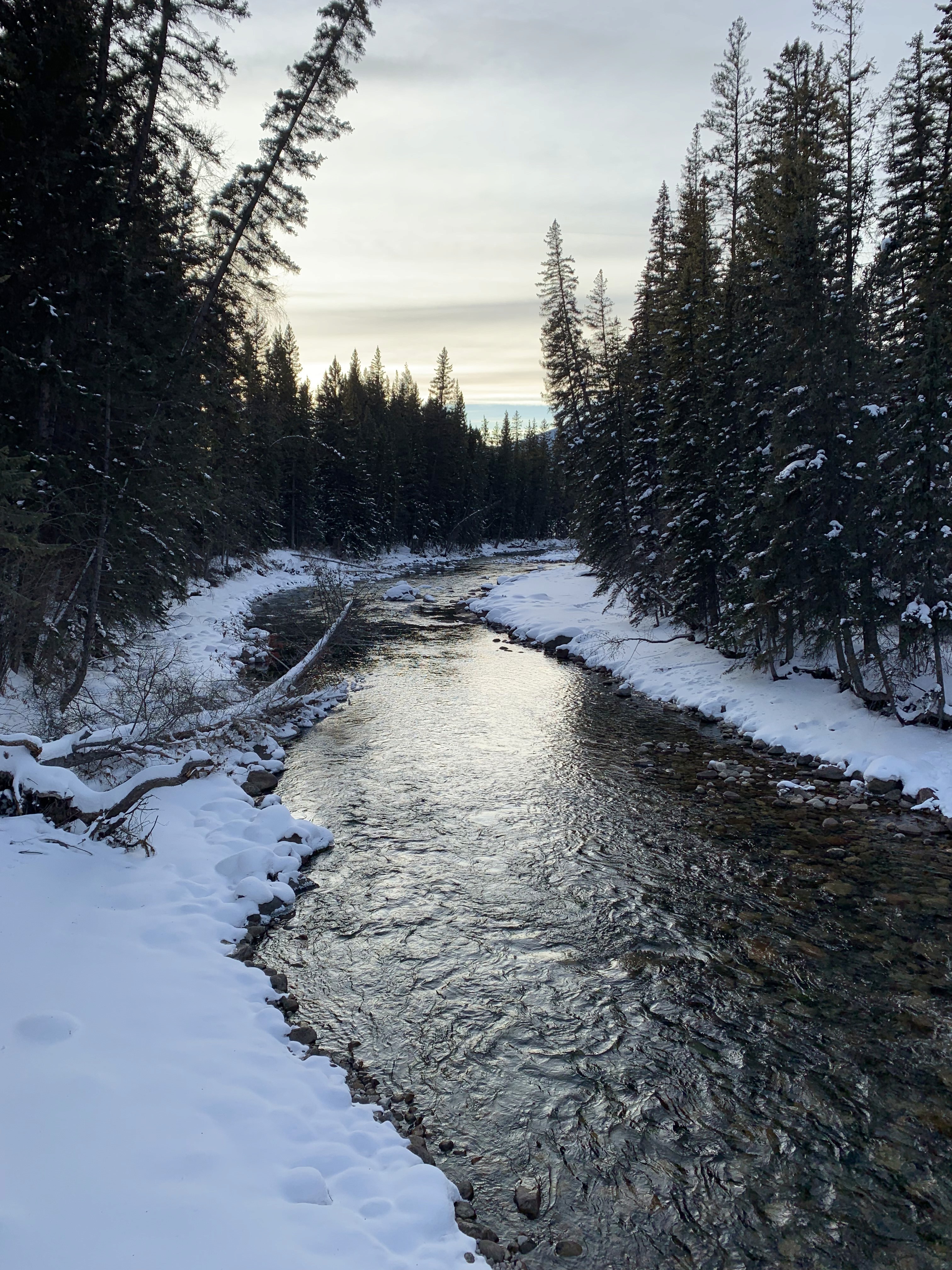 kids lying on a glass land and smiling