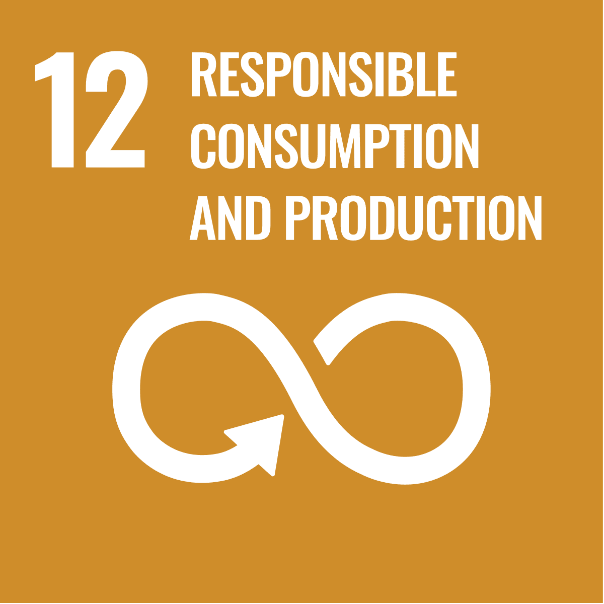 Sustainable development goal 12 Responsible consumption and production