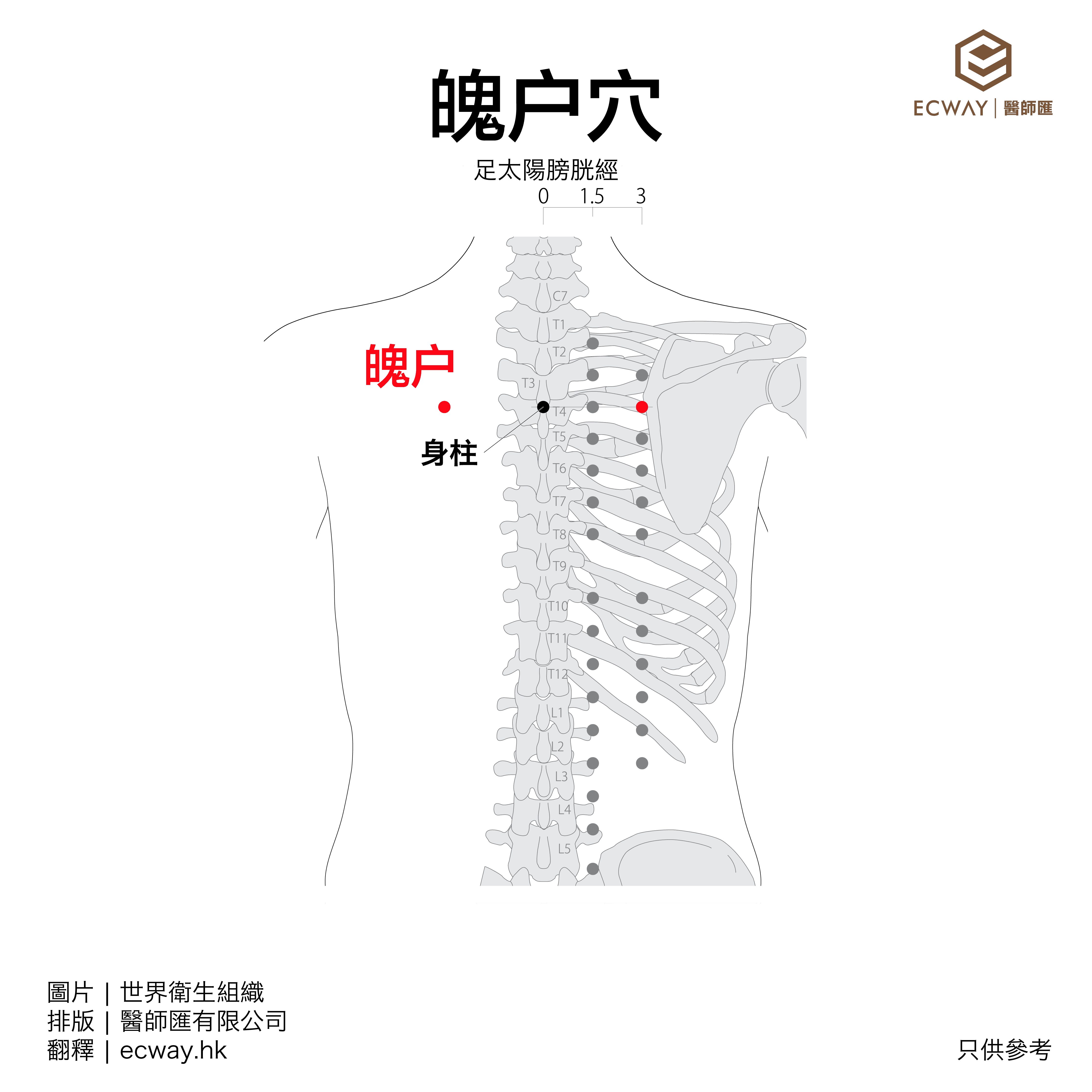 魄戶穴