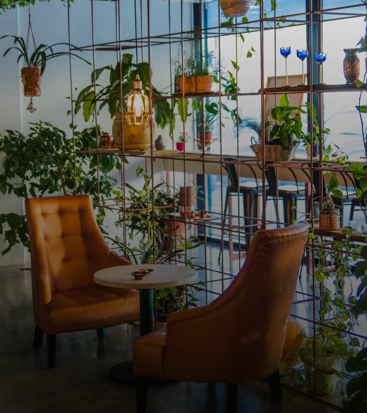 imagem de lugar com várias plantas espalhadas, ressaltando a natureza e a sustentabilidade de um projeto arquitetônico bem feito.