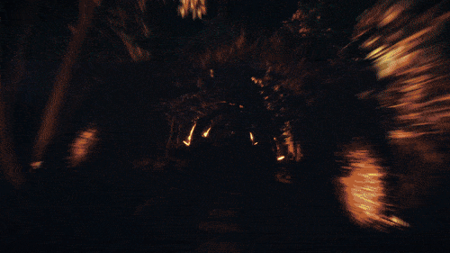 Abstract red fluid lattice forming soft diamond shapes on a pale pink background—minimal geometric texture.