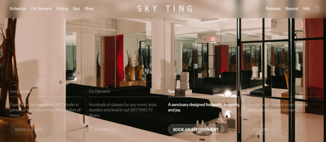 Sky Ting TV&nbsp;&nbsp;