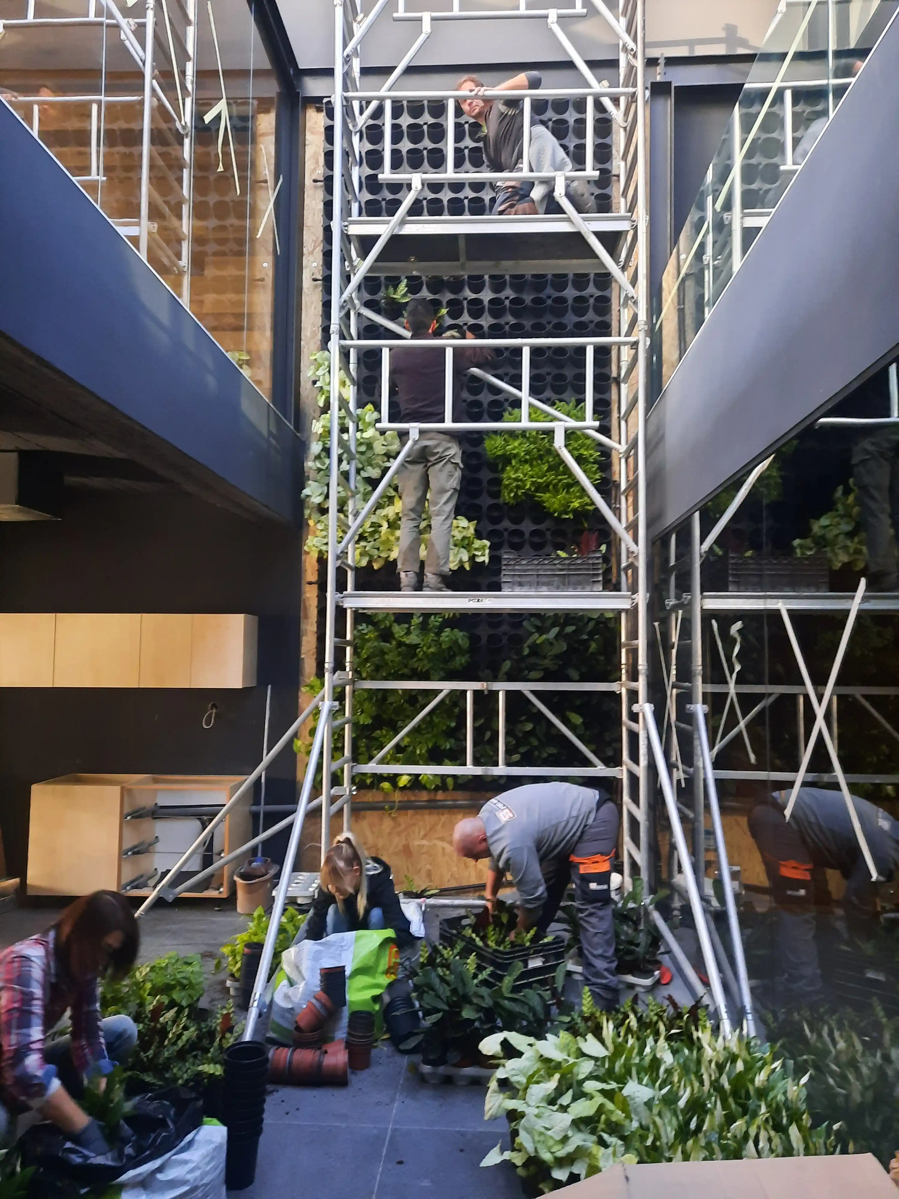 Zöld fal állványozva