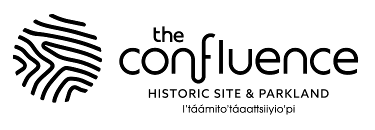 The Confluence