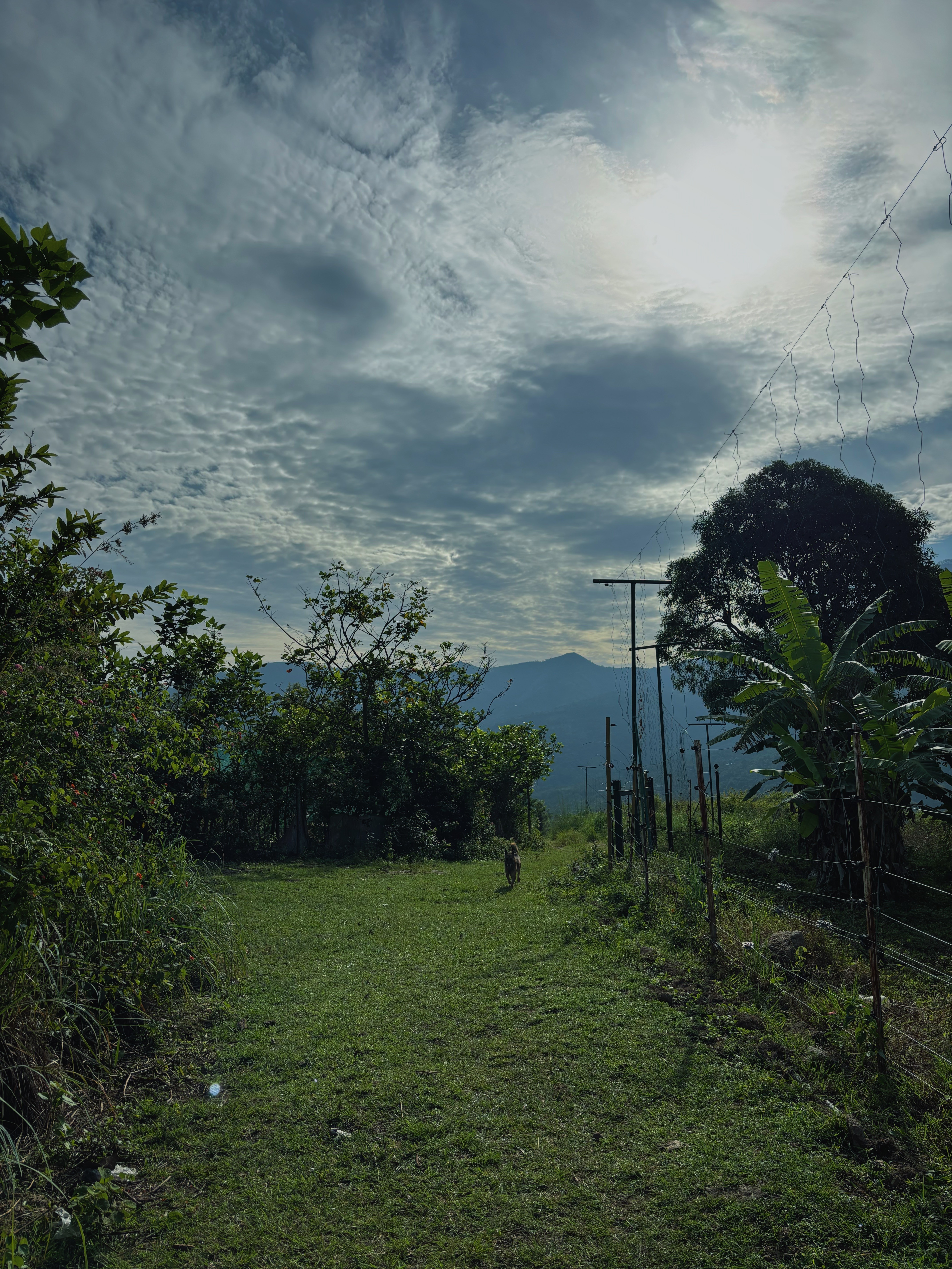 Una persona con una camiseta negra y pantalones de color claro está de pie en la cima rocosa de una montaña al atardecer, sosteniendo una cámara frente a su cara para tomar una foto. Un mar de nubes se extiende detrás de ellos, iluminado por la luz dorada del sol poniente.