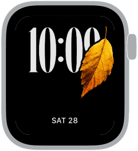 golden forest Apple Watch face preview 3 featuring autumn.