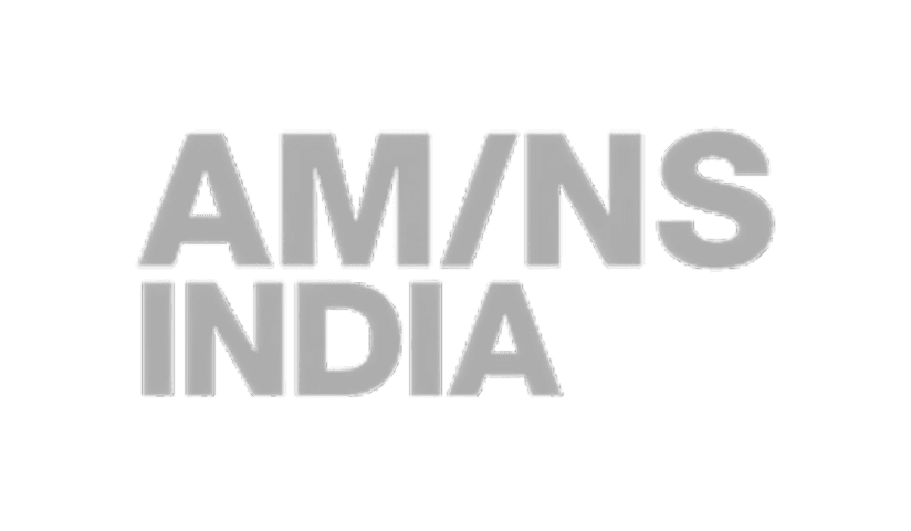 AMNS India