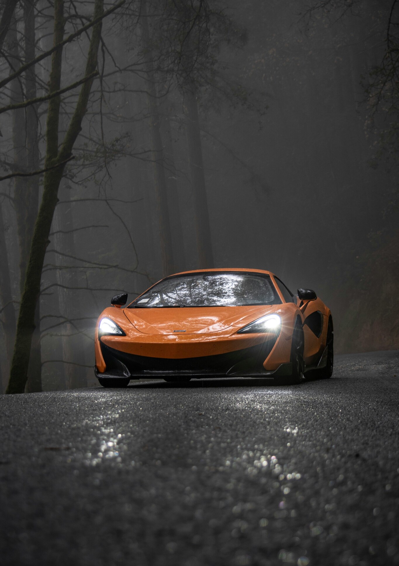 A sleek orange sports car with illuminated headlights is parked on a rain-soaked, winding road surrounded by tall, misty trees in a dense forest.