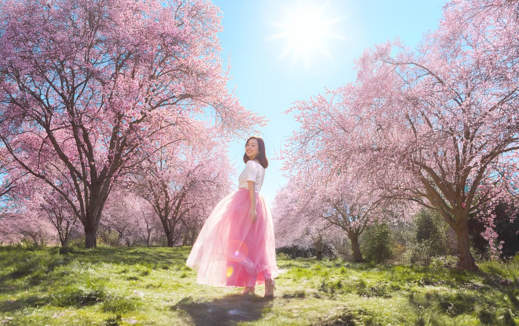 Album Photo Real Mehedi Free Framer Template Photography