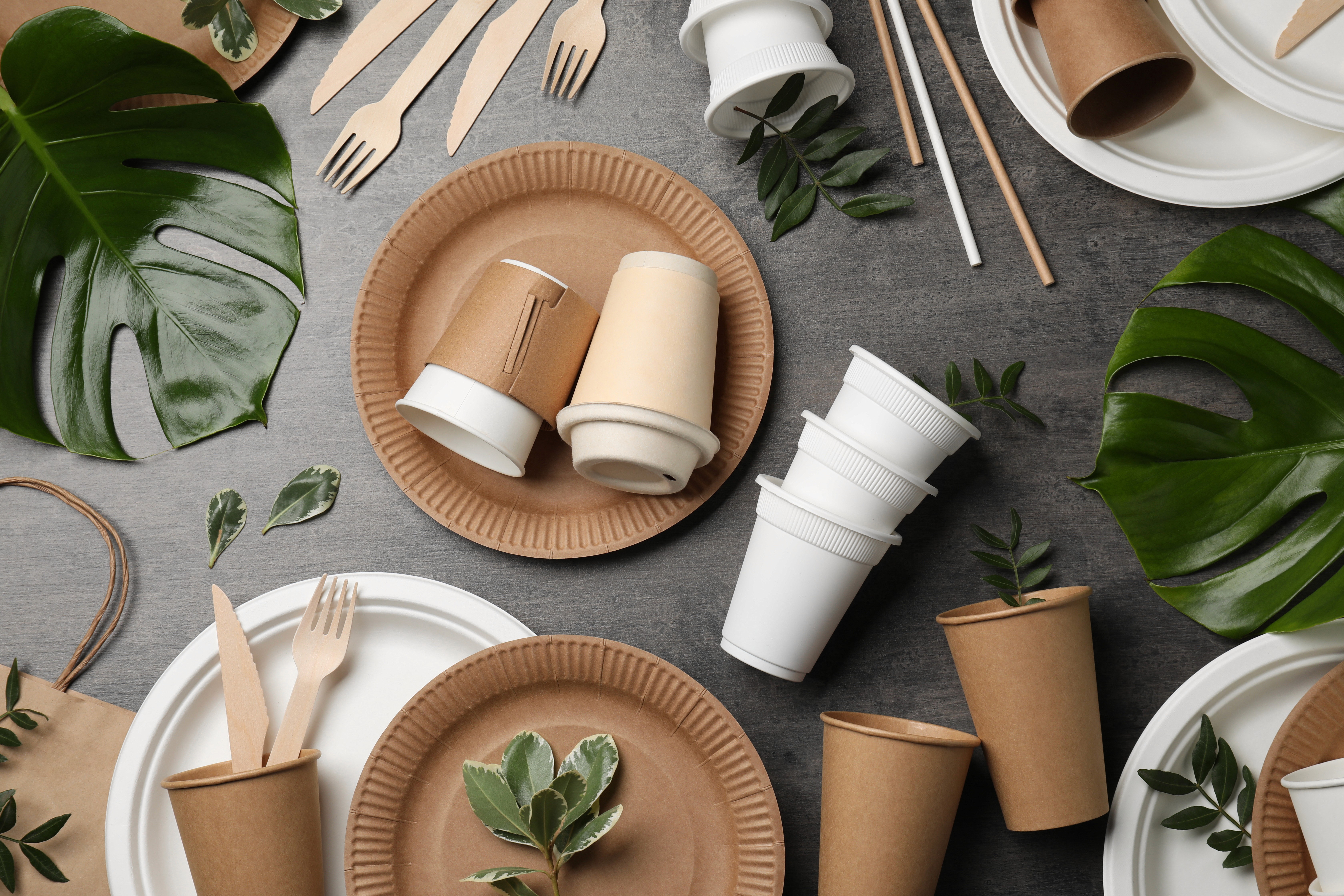 Paper cups, plates and wooden cutlery representing disposable materials and waste reduction at events