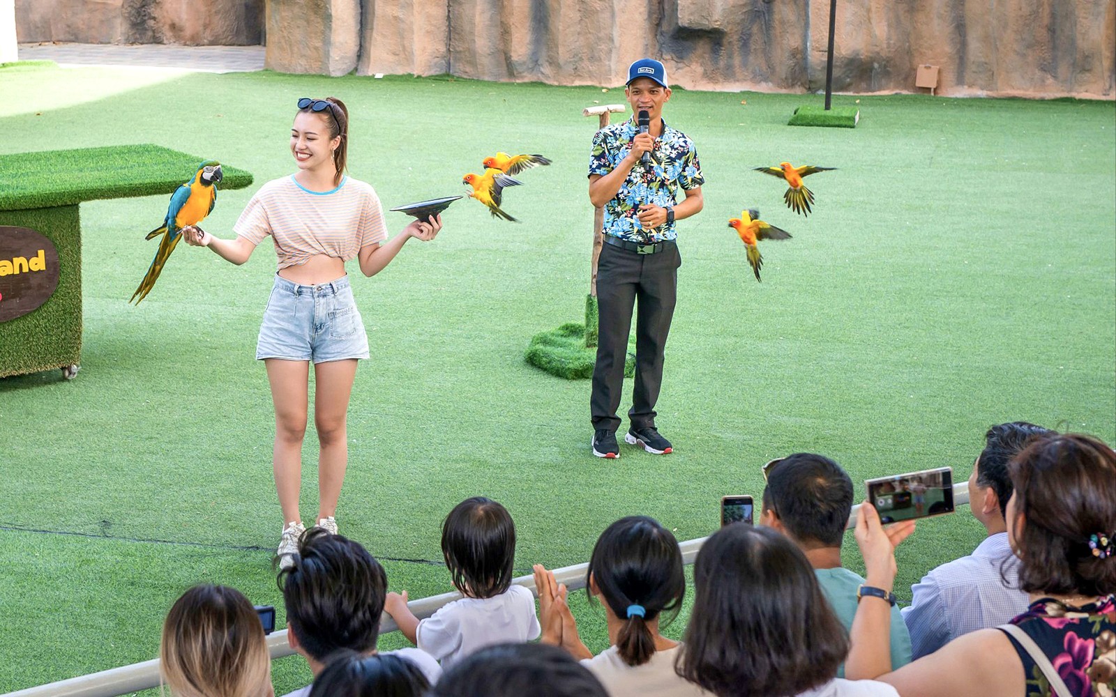 Bird show with parrots performing for an audience at a zoo.