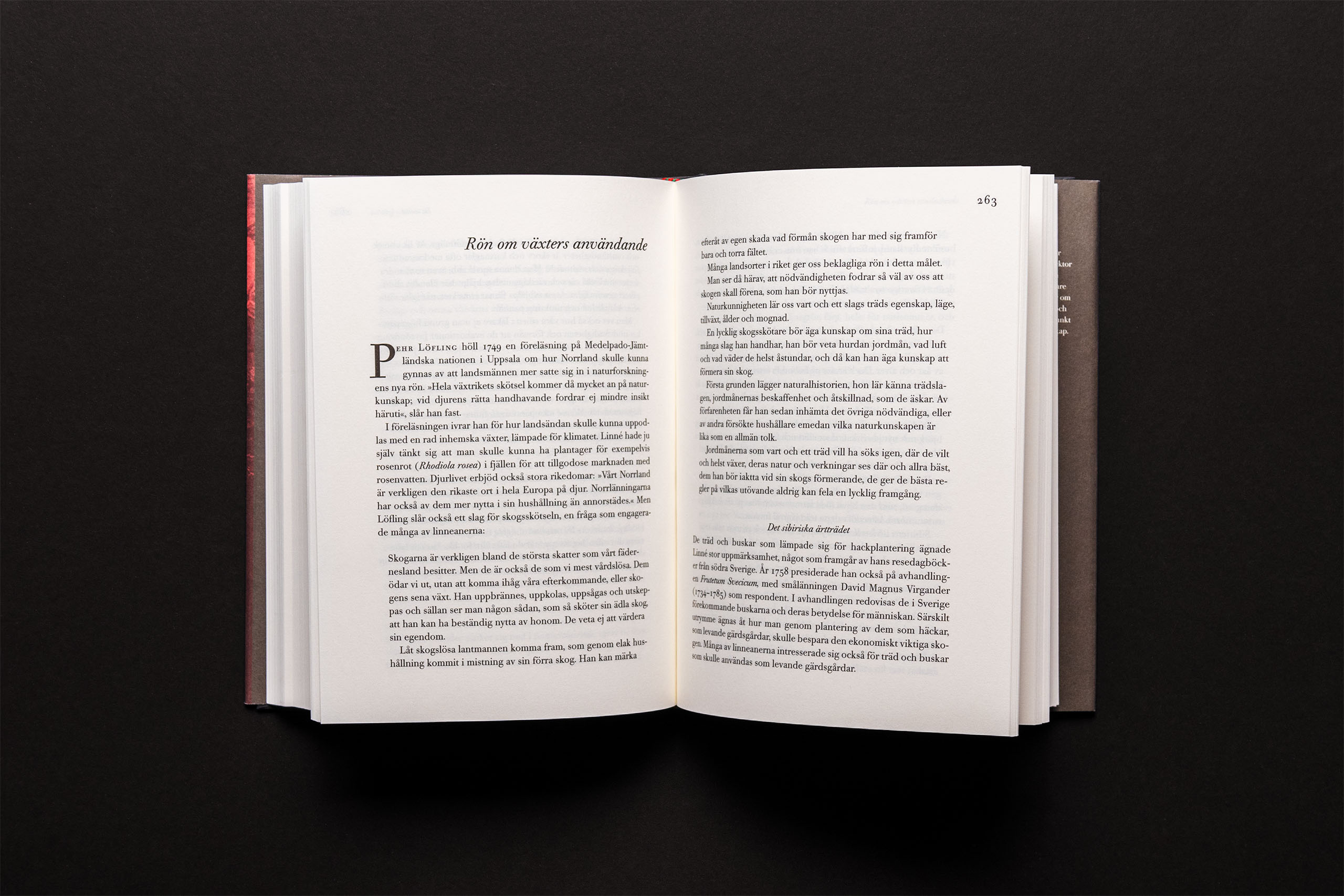 Kalkbrott i Slite, med transporrtfordon