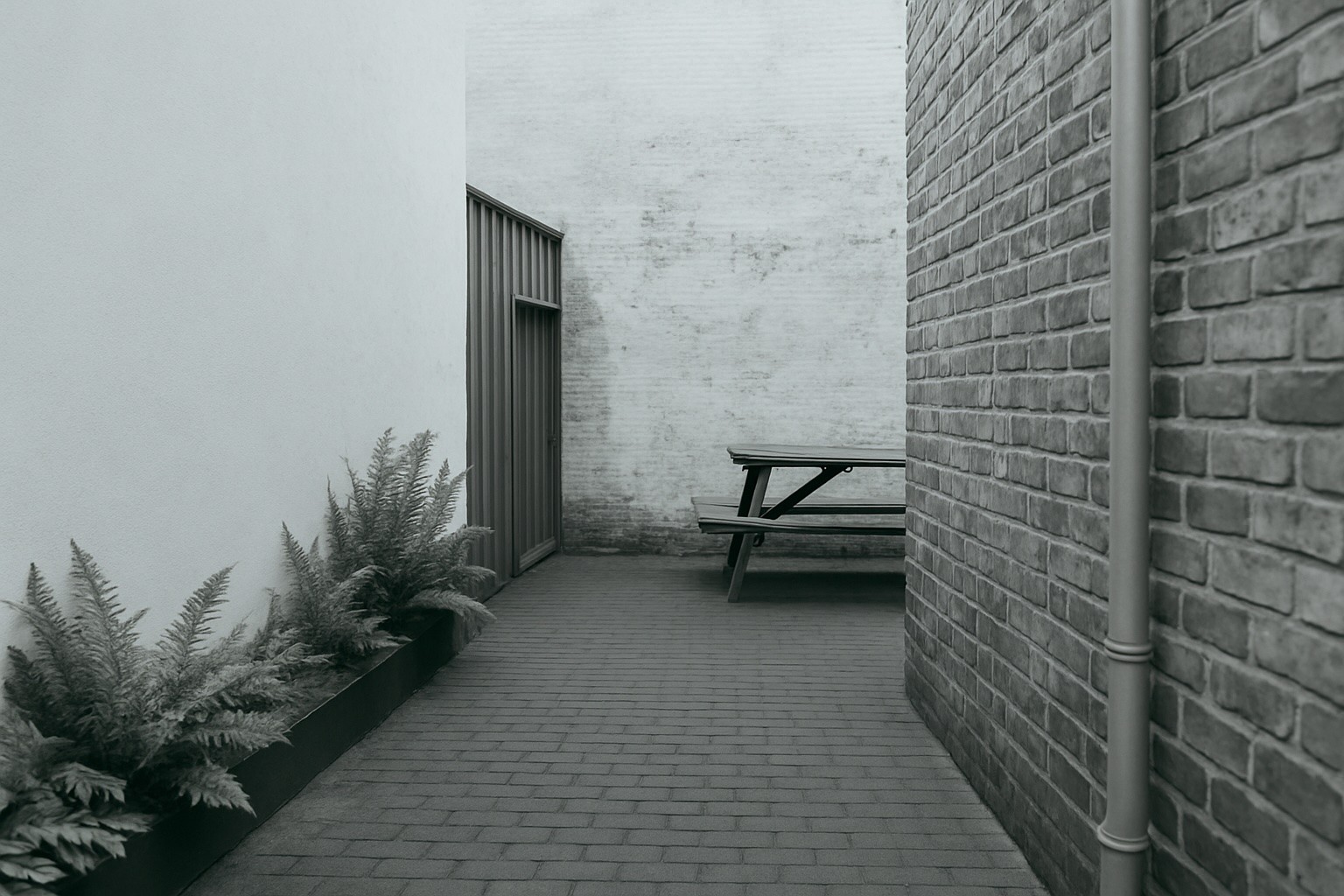 CTA Image