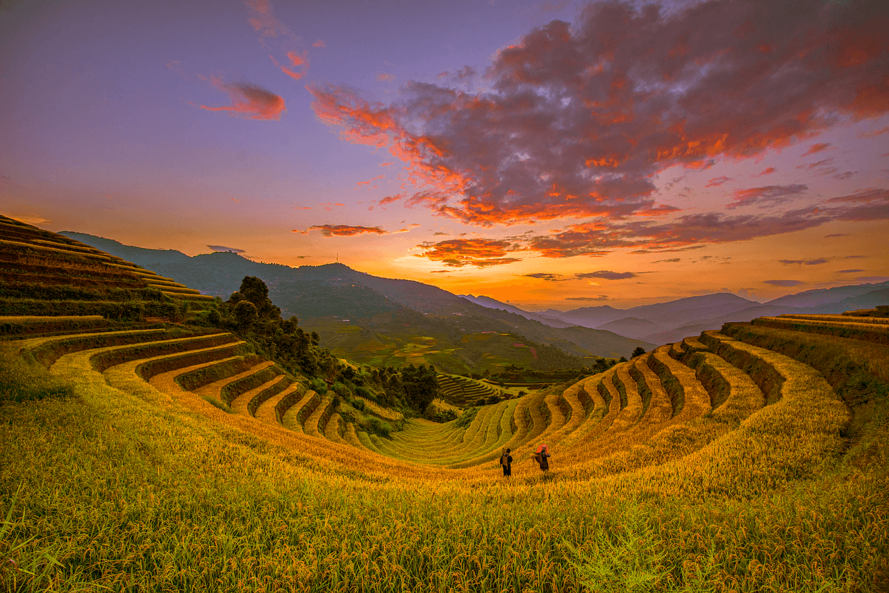 exhibit program management, interactive booth technology, modular exhibit systems