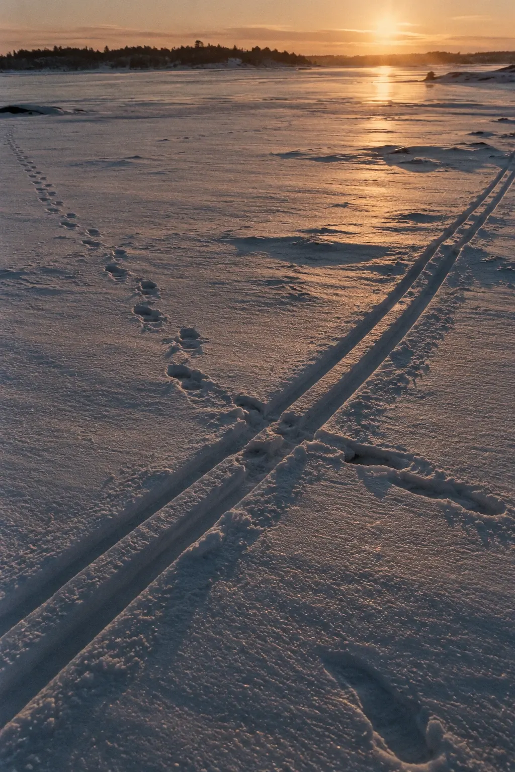 Ski tracks and footprints crossing on snow-covered ice in low sun.