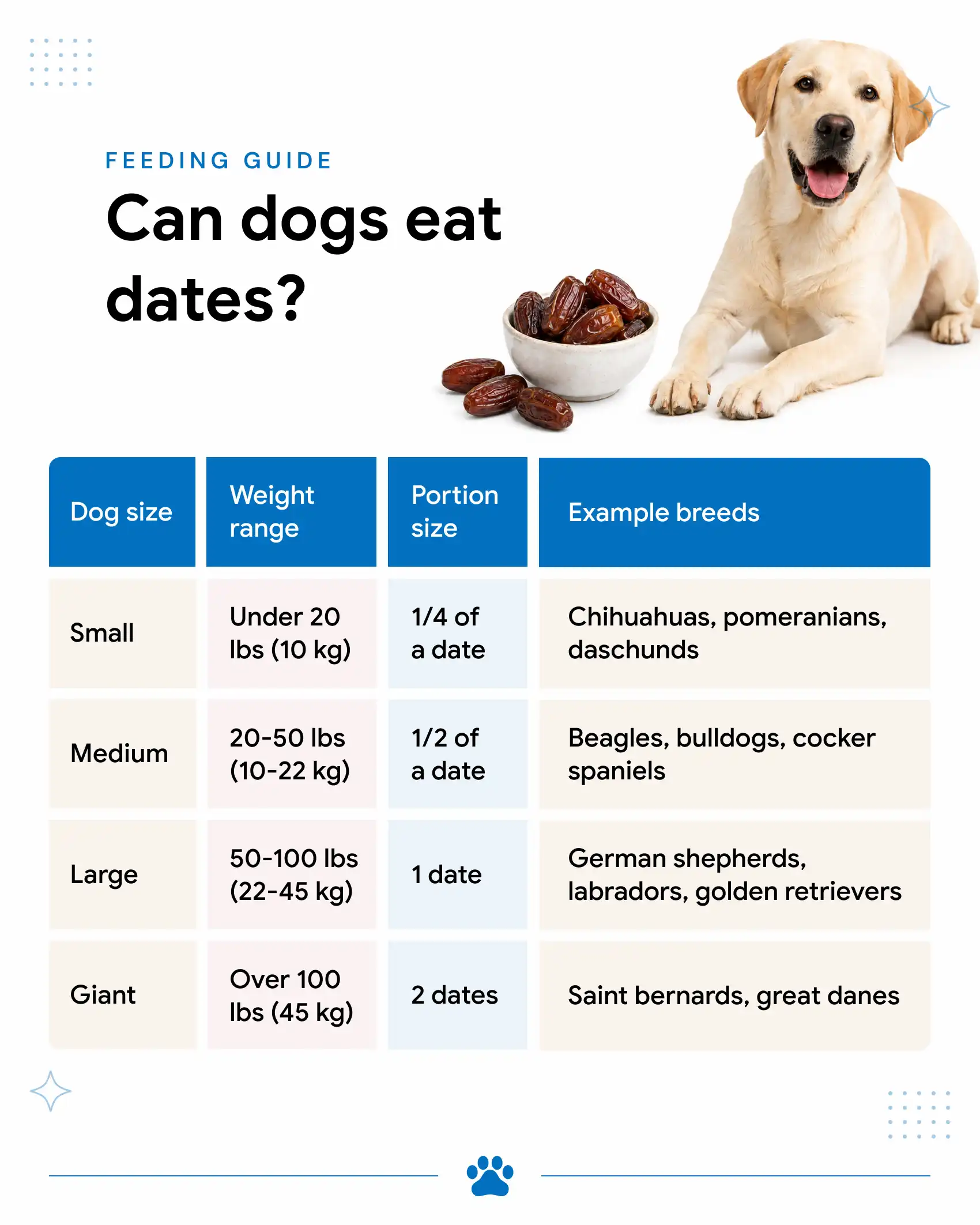 Date Portion Size Guidelines for Dogs