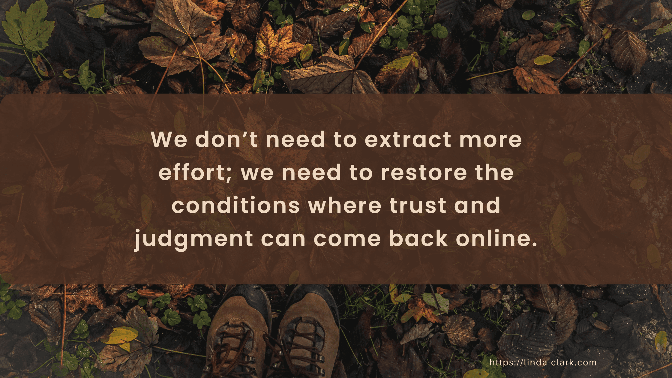 A photo of a forest floor covered in leaves and looking down at your boots in the leaves. The title of the blog post is on a brown background and says Authentic Organizational Culture: Beyond Leadership Theater | Linda Clark