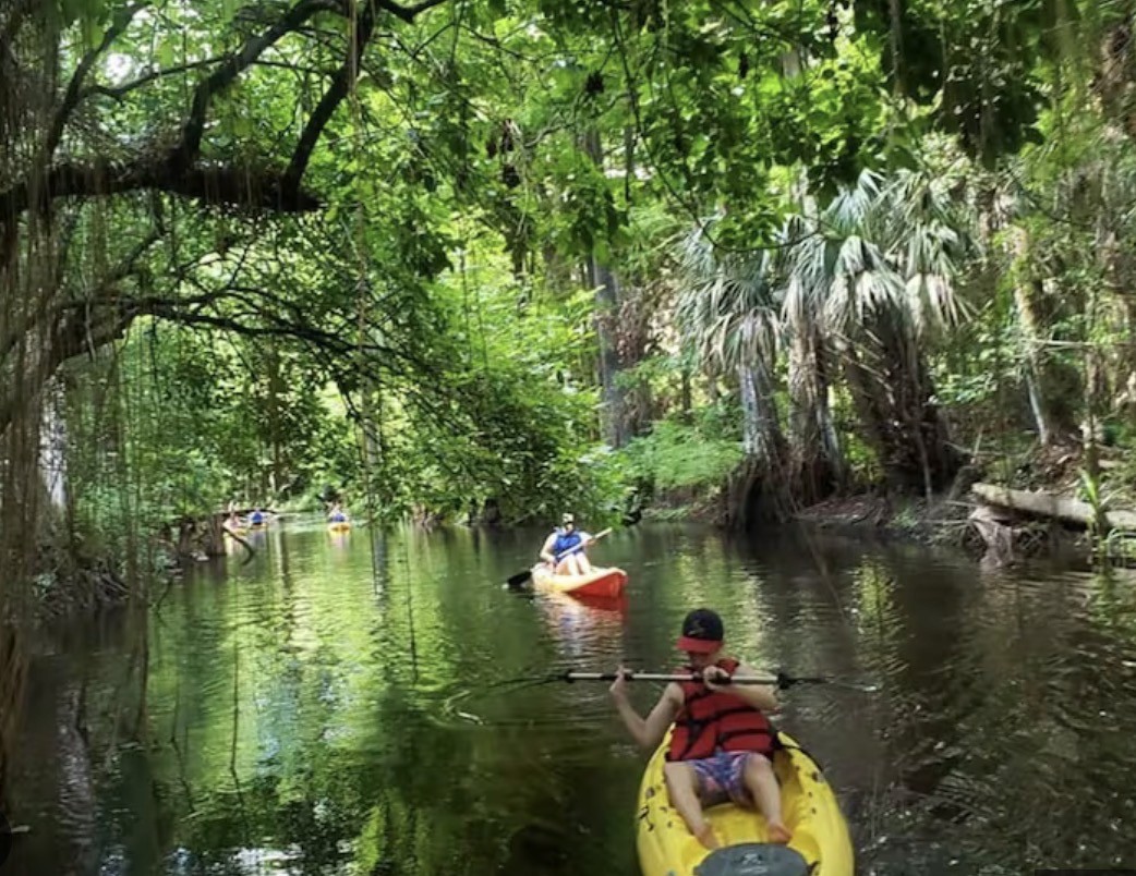 Kayakers on the Loxahatchee River in Jupiter, Florida
