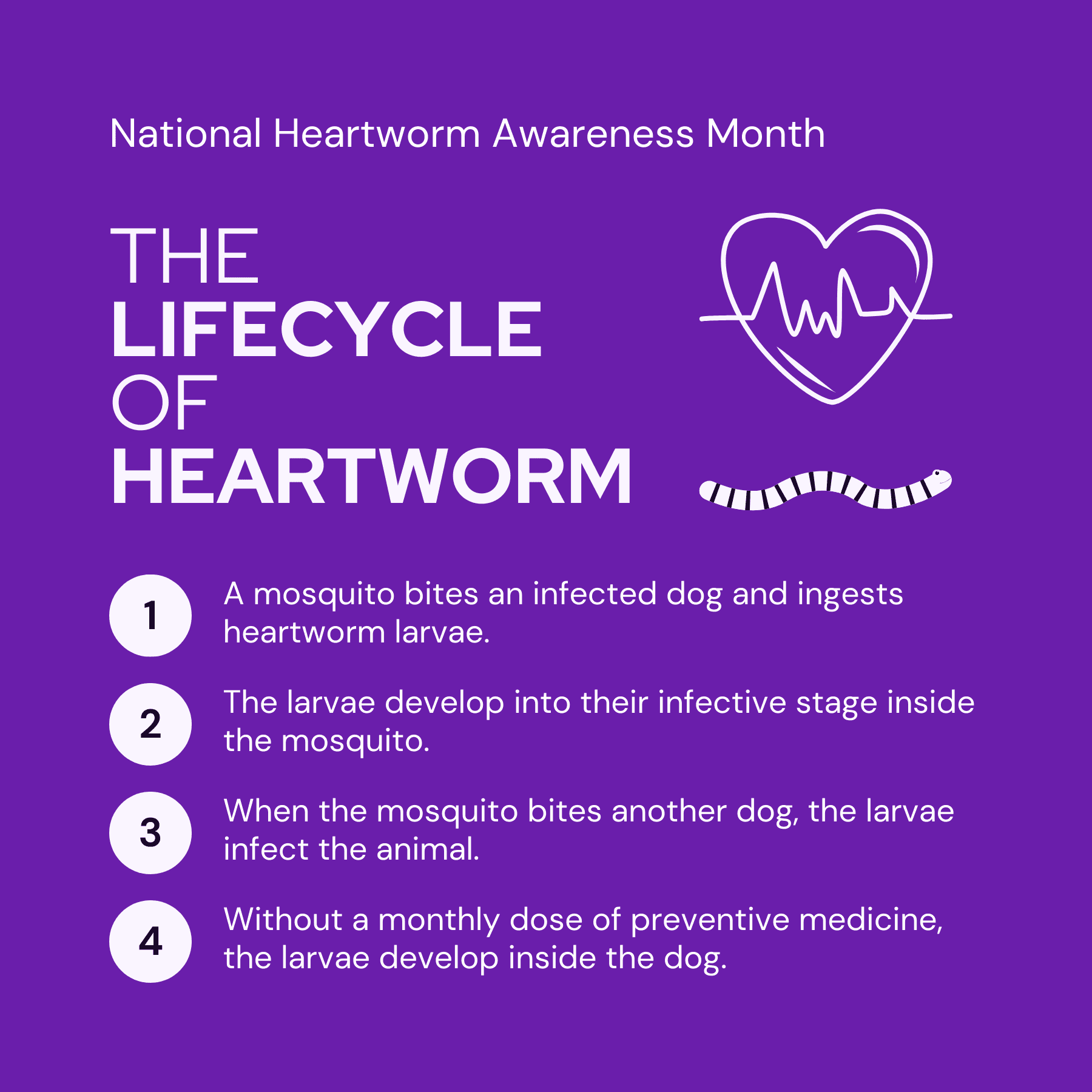 The lifecycle of heartwork social graphic