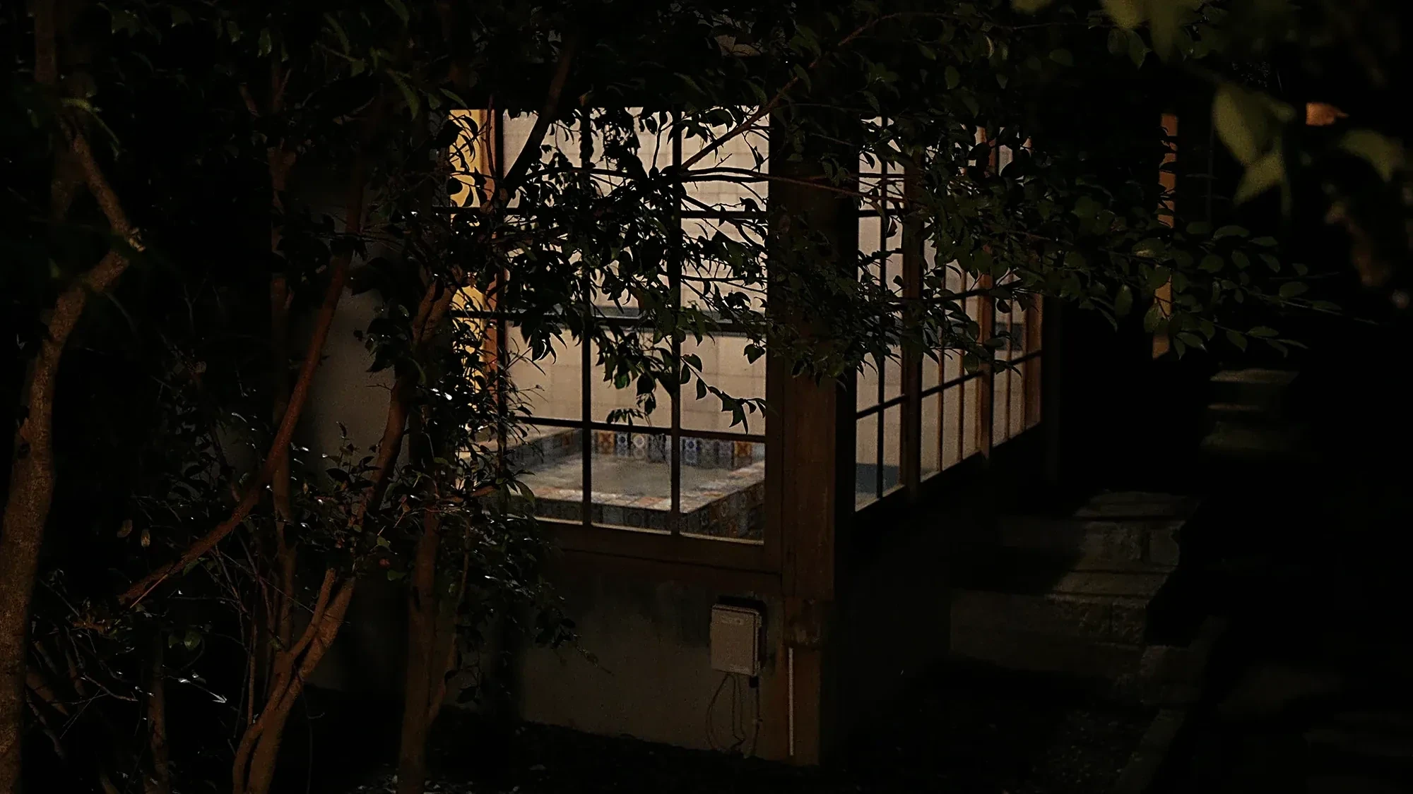 A lit inn window at Kurokawa Onsen seen through dark garden foliage
