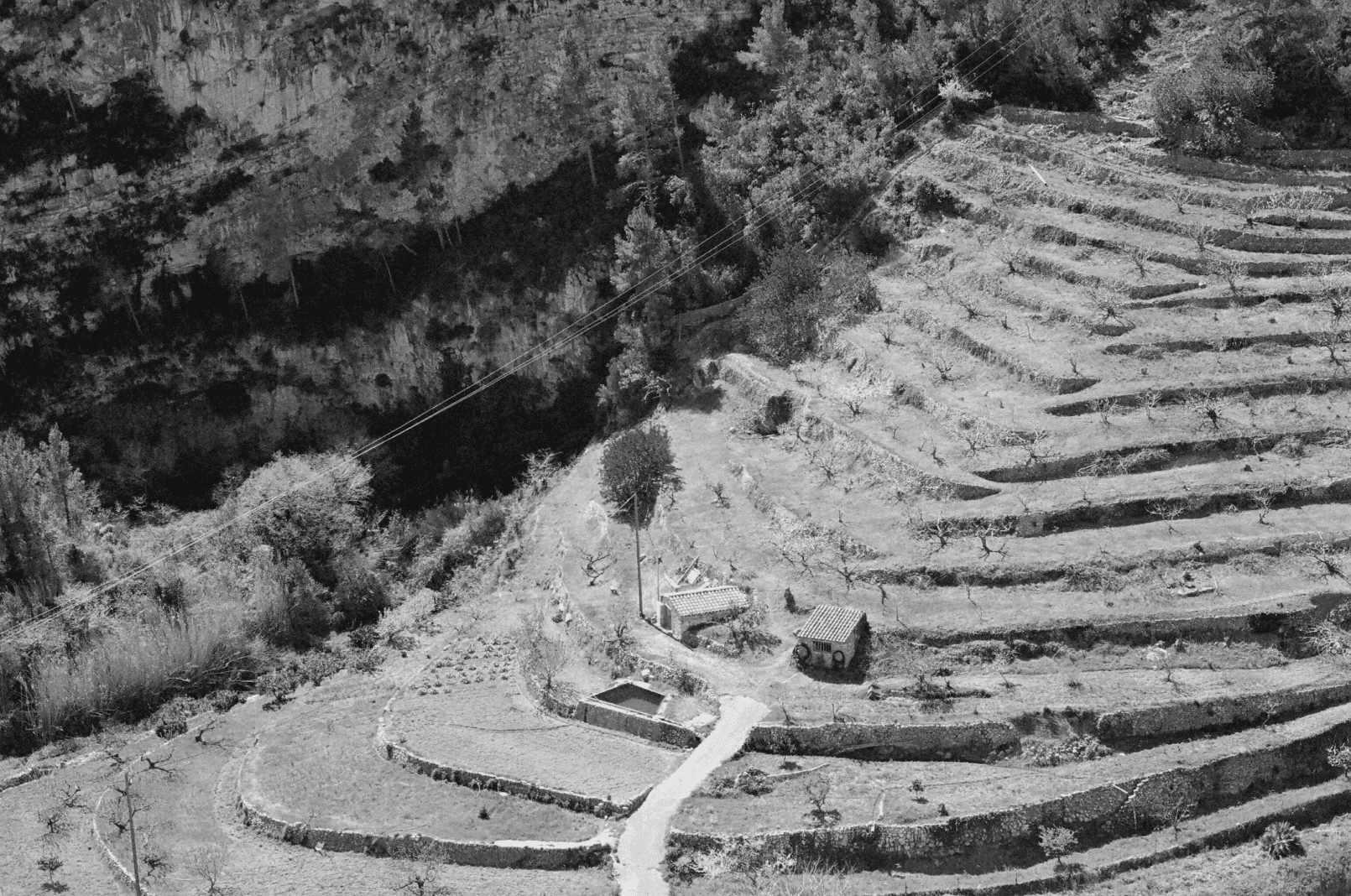 Aterrazamientos en el valle de Pratdip