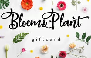 bloem en plant