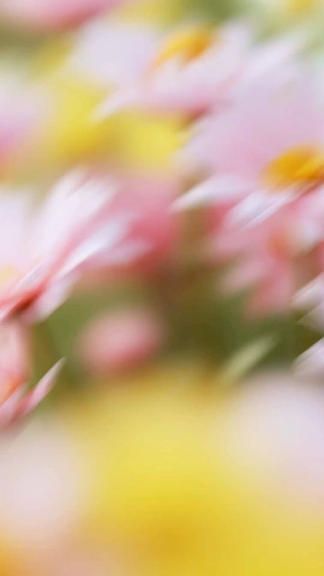 A dark green knitted scarf, a bouquet of orange gerbera daisies, and a newspaper lie on a granite ledge next to a body of water.