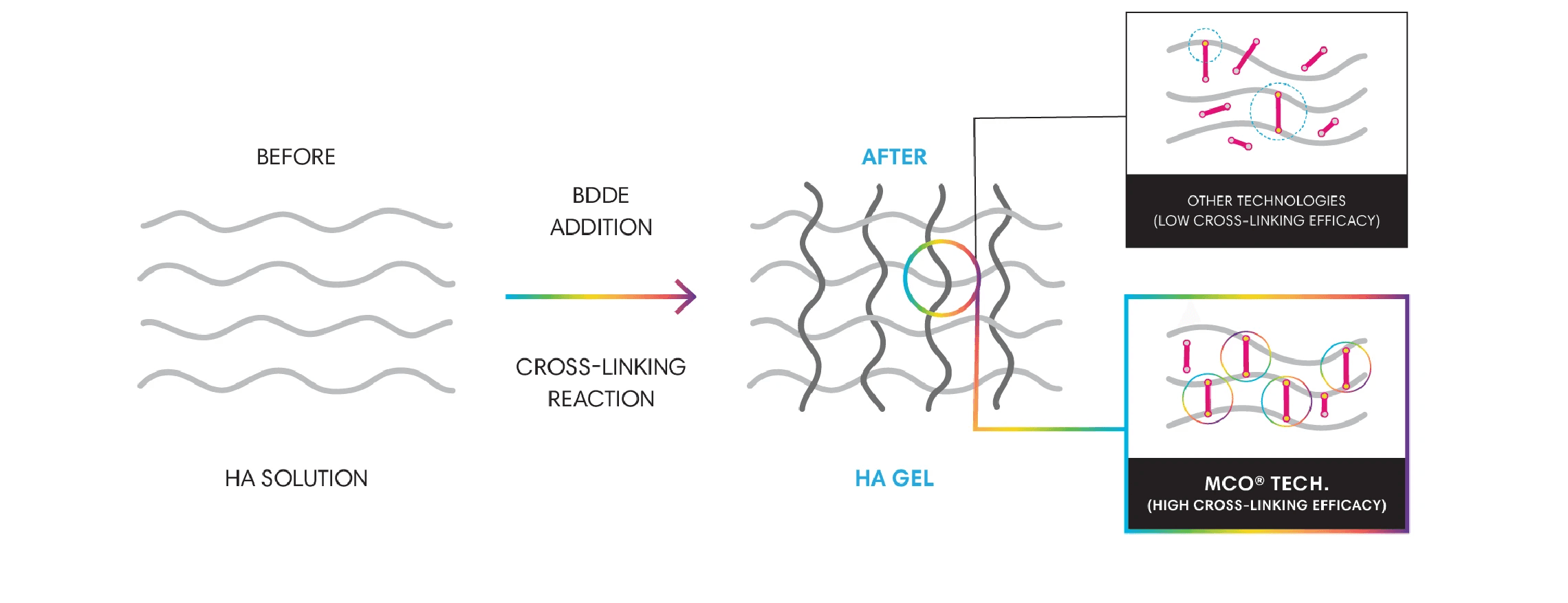 BDDE Cross-Linking Technology