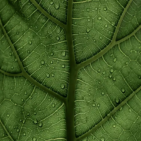 Man working with two monitors