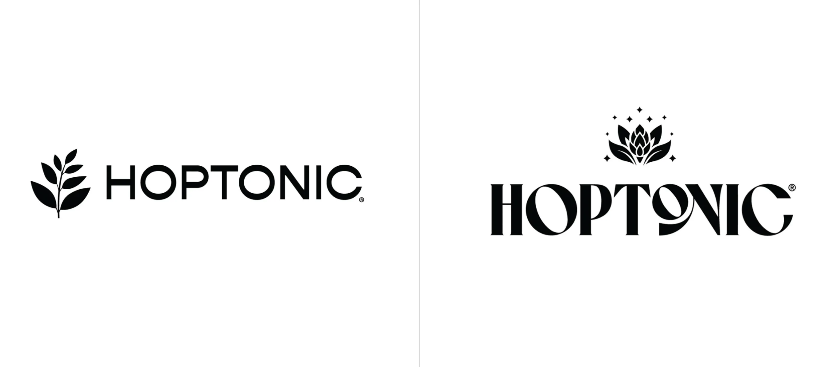 BeBold rebrand Hoptonic tea image branding