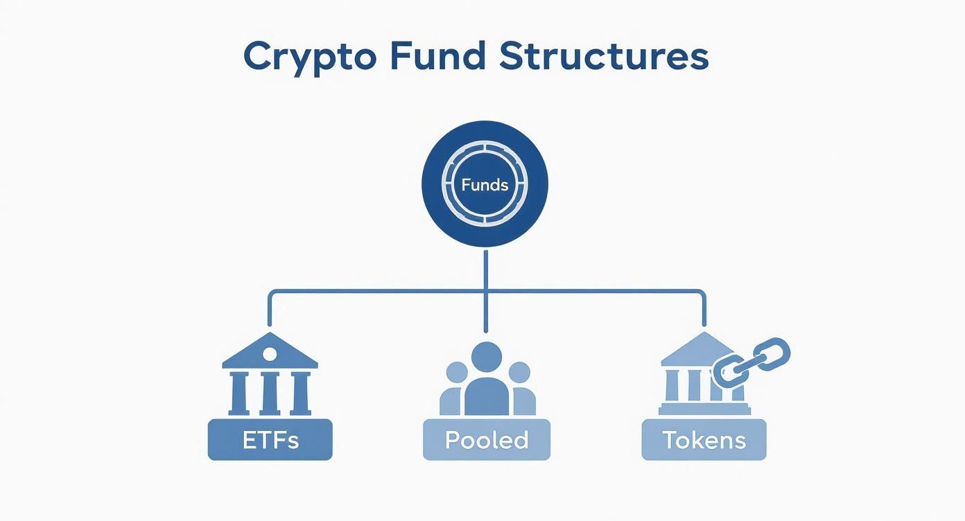 Diagram showing three crypto fund structures: ETFs, Pooled funds, and Tokens branching from central funds icon