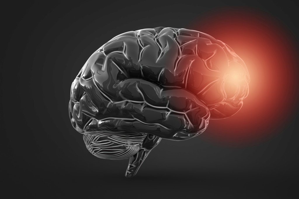 Concept of brain inflammation in prefrontal cortex